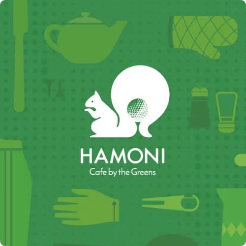 Hamoni immage